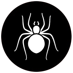 Spider icon