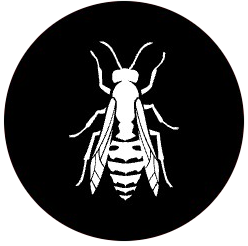 Bee icon